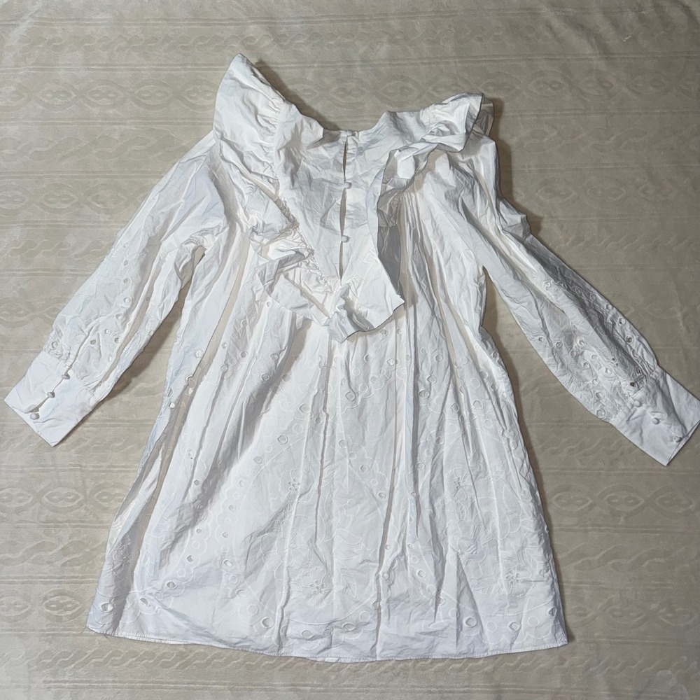 Zara Ruffled Openwork Embroidery Dress - Picture 4 of 4